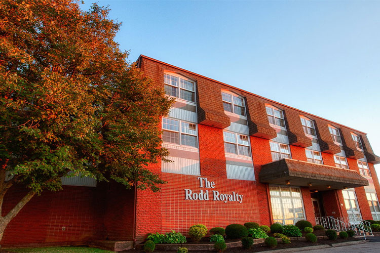 Rodd Royalty
